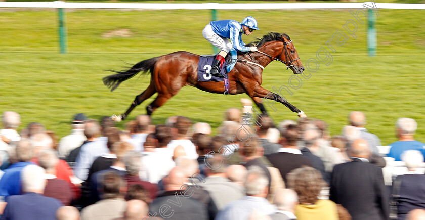 Fighting-Irish-0001 
 FIGHTING IRISH (Stevie Donohoe) wins The Parkdean Resorts Starland Krew Nursery Yarmouth 21 Sep 2017 - Pic Steven Cargill / Racingfotos.com