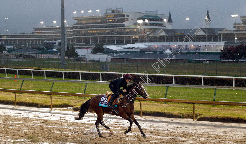 Anthony-Van-Dyck-0001 
 ANTHONY VAN DYCK exercising ahead of The Breeders' Juvenile Turf
Churchill Downs USA 1 Nov 2018 - Pic Steven Cargill / Racingfotos.com