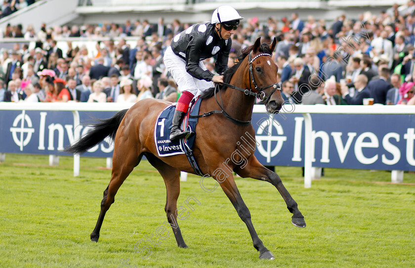 Annapurna-0001 
 ANAPURNA (Frankie Dettori) before winning The Investec Oaks
Epsom 31 May 2019 - Pic Steven Cargill / Racingfotos.com