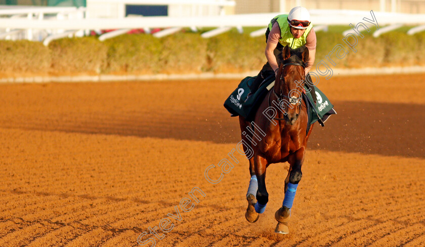 Mishriff-0007 
 MISHRIFF training for The Saudi Cup
King Abdulaziz Racetrack, Riyadh, Saudi Arabia 23 Feb 2022 - Pic Steven Cargill / Racingfotos.com