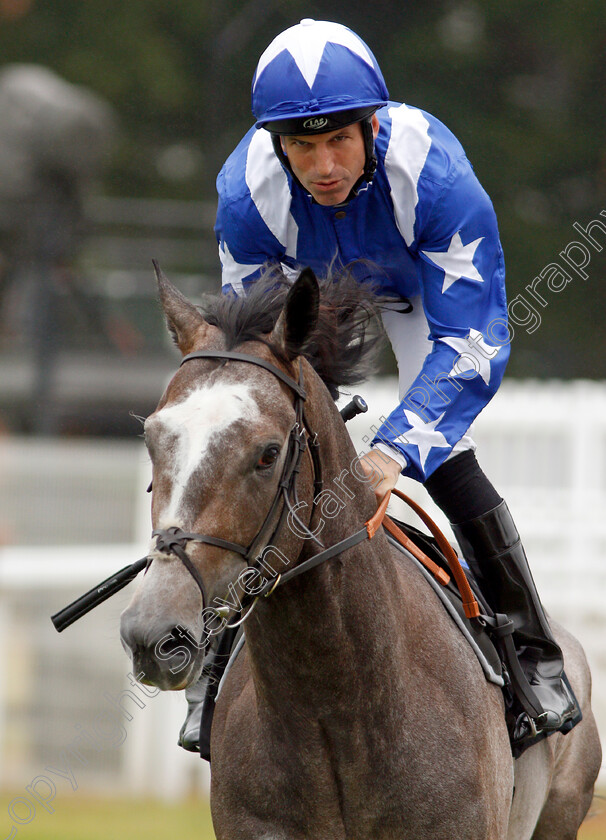 Game-Over-0001 
 GAME OVER (Pat Dobbs)
Newbury 19 Jul 2019 - Pic Steven Cargill / Racingfotos.com