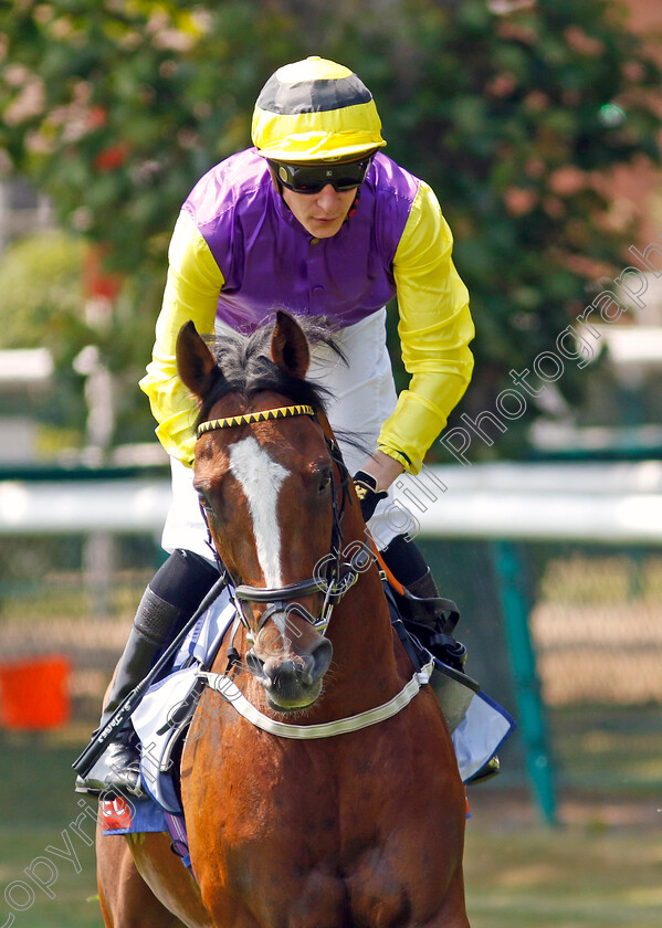 Illusionist-0001 
 ILLUSIONIST (Sam James)
Haydock 10 Jun 2023 - Pic Steven Cargill / Racingfotos.com