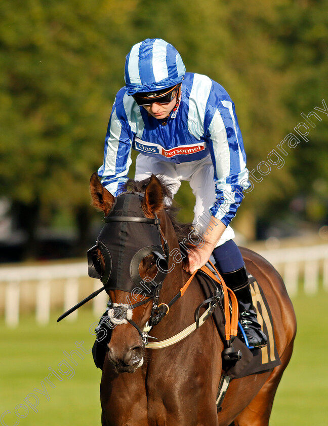 Tenrai-0001 
 TENRAI (Adam Farragher)
Newmarket 28 Jul 2023 - Pic Steven Cargill / Racingfotos.com