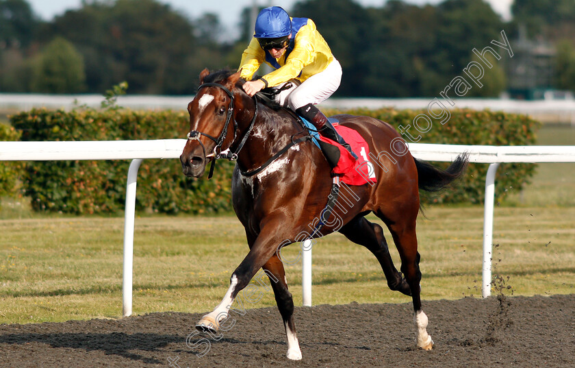 Dubai-Warrior-0007 
 DUBAI WARRIOR (Robert Havlin) wins The Matchbook Betting Exchange Novice Stakes
Kempton 7 Aug 2019 - Pic Steven Cargill / Racingfotos.com