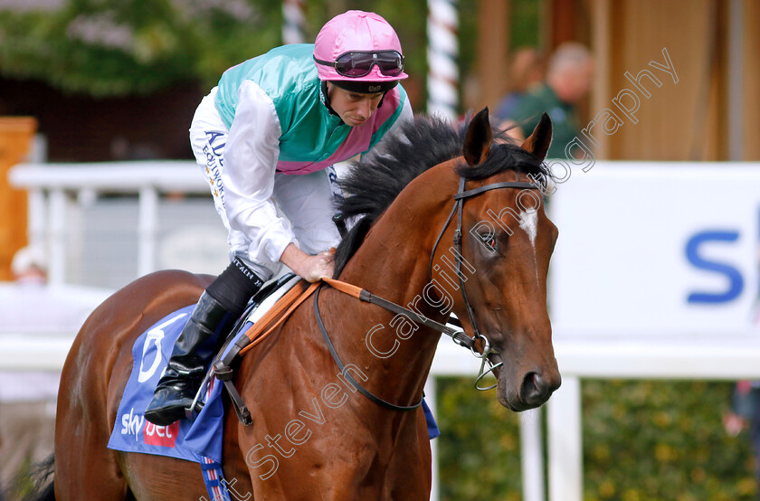 Nostrum-0001 
 NOSTRUM (Ryan Moore)
York 26 Aug 2023 - Pic Steven Cargill / Racingfotos.com