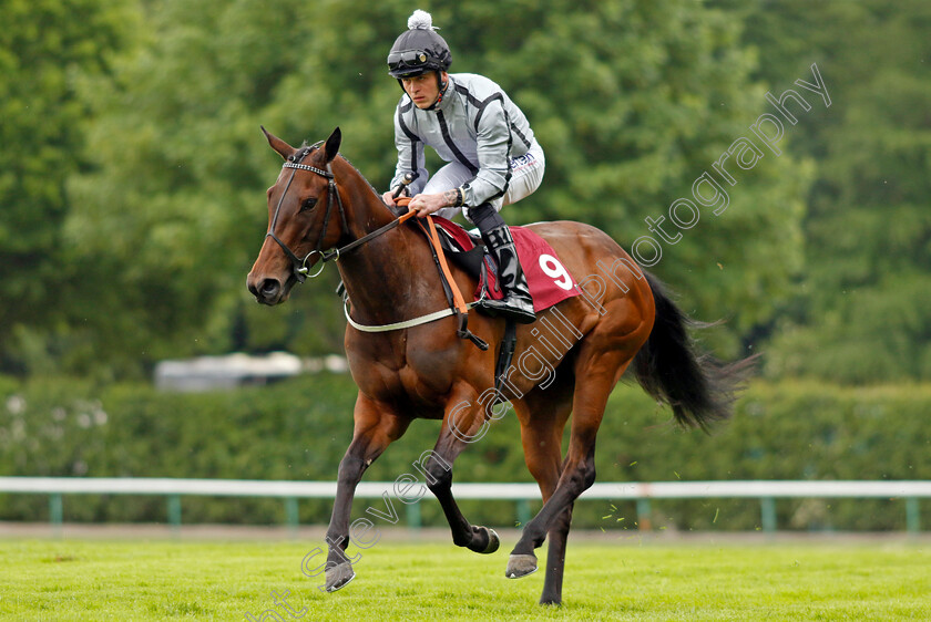 White-Lavender 
 WHITE LAVENDER (Clifford Lee)
Haydock 21 May 2022 - Pic Steven Cargill / Racingfotos.com