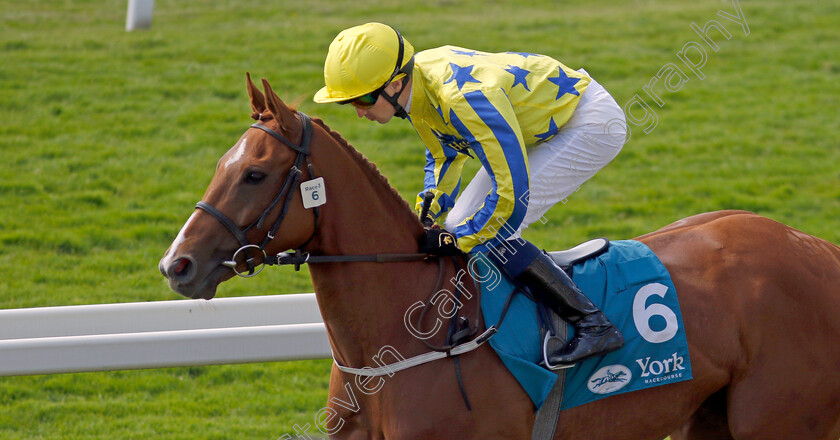 International-Girl-0001 
 INTERNATIONAL GIRL (Oisin Orr)
York 16 Jun 2023 - Pic Steven Cargill / Racingfotos.com