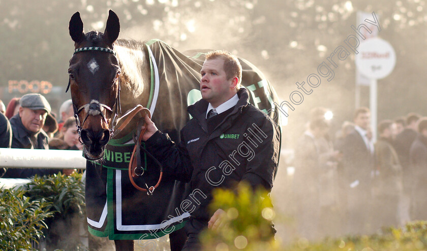 Altior-0011 
 ALTIOR after The Unibet Desert Orchid Chase
Kempton 27 Dec 2018 - Pic Steven Cargill / Racingfotos.com