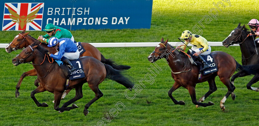 Anmaat-0010 
 ANMAAT (Jim Crowley) wins The Qipco Champion Stakes
Ascot 19 Oct 2024 - Pic Steven Cargill / Racingfotos.com