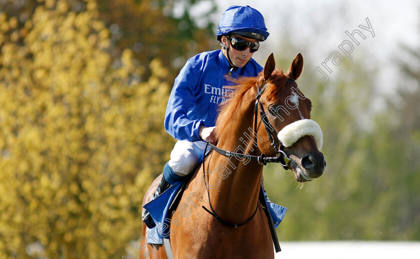 Ruling-Dynasty-0002 
 RULING DYNASTY (William Buick)
Leicester 23 Apr 2022 - Pic Steven Cargill / Racingfotos.com