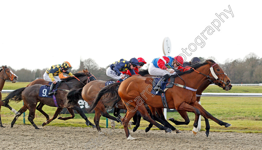 Knockout-Blow-0002 
 KNOCKOUT BLOW (Hector Crouch) wins The Betway Heed Your Hunch Handicap
Lingfield 18 Dec 2019 - Pic Steven Cargill / Racingfotos.com