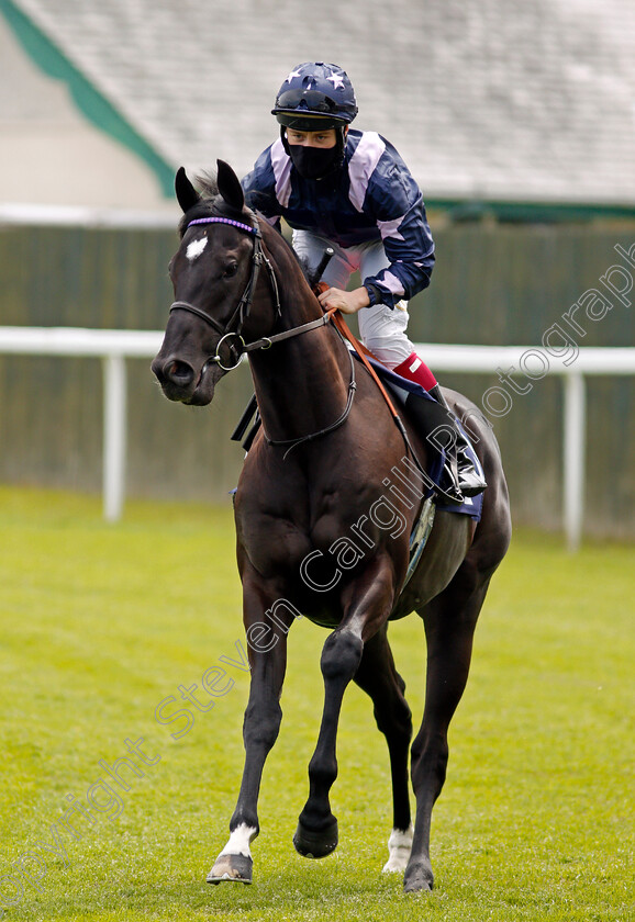 Penywern-Taverner-0001 
 PENYWERN TAVERNER (Cieren Fallon)
Yarmouth 19 May 2021 - Pic Steven Cargill / Racingfotos.com