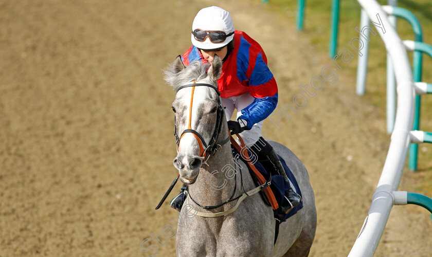 Silver-Byrne-0001 
 SILVER BYRNE (Emma Taff) 
Lingfield 9 Mar 2022 - Pic Steven Cargill / Racingfotos.com