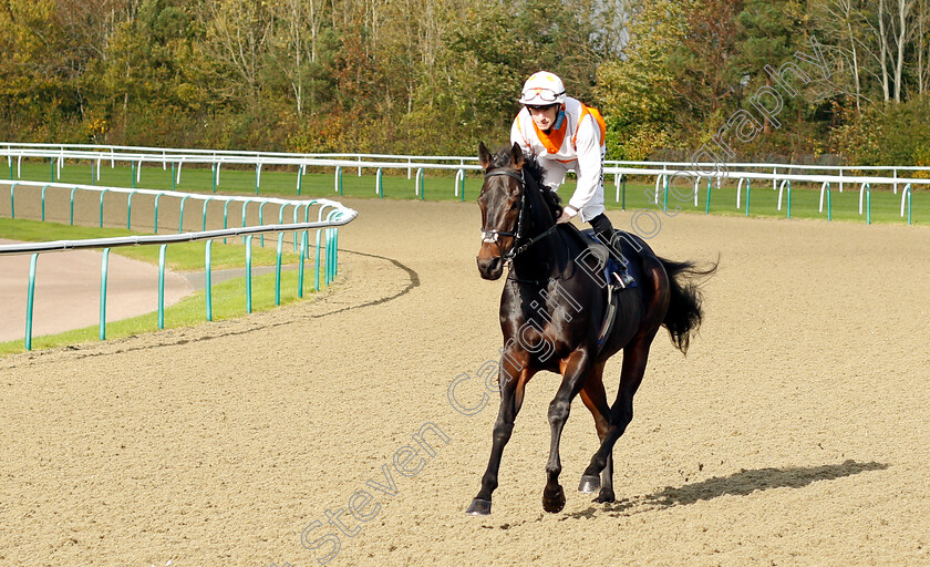 My-Target 
 MY TARGET (Richard Kingscote)
Lingfield 28 Oct 2021 - Pic Steven Cargill / Raingfotos.com