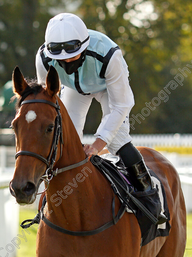 Teodolina-0001 
 TEODOLINA (Ryan Moore)
Newbury 18 Sep 2020 - Pic Steven Cargill / Racingfotos.com