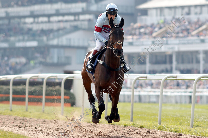 Lalor-0002 
 LALOR (Richard Johnson)
Aintree 6 Apr 2019 - Pic Steven Cargill / Racingfotos.com