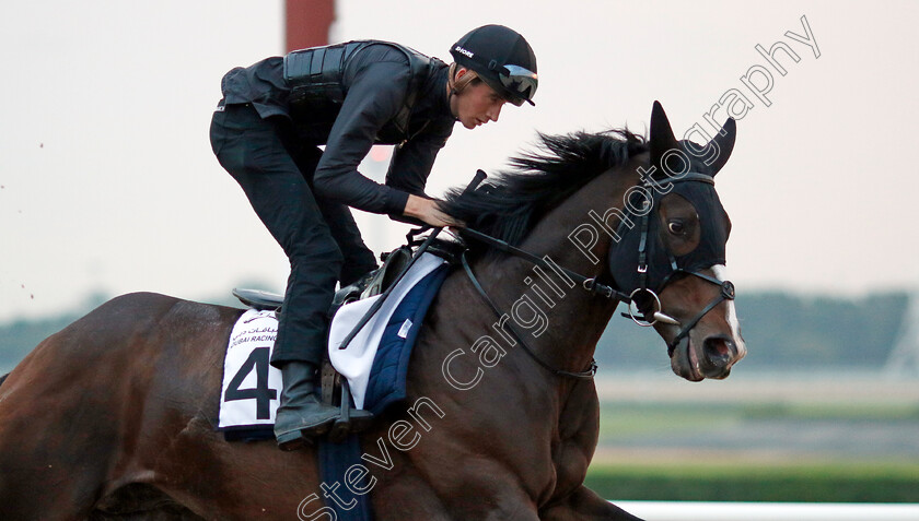 Destructive-0001 
 DESTRUCTIVE training at the Dubai Racing Carnival
Meydan 1 Feb 2024 - Pic Steven Cargill / Racingfotos.com