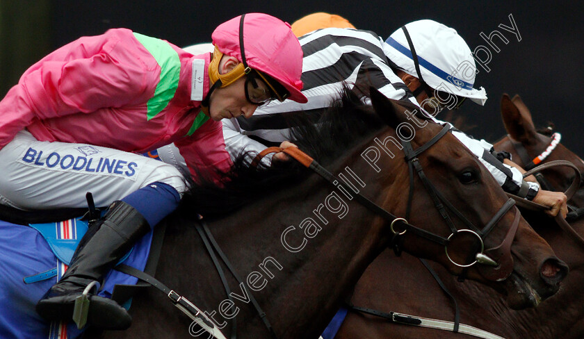 Shifting-Gold-0001 
 SHIFTING GOLD (David Egan) wins The Mansionbet Handicap
Nottingham 16 Jul 2019 - Pic Steven Cargill / Racingfotos.com