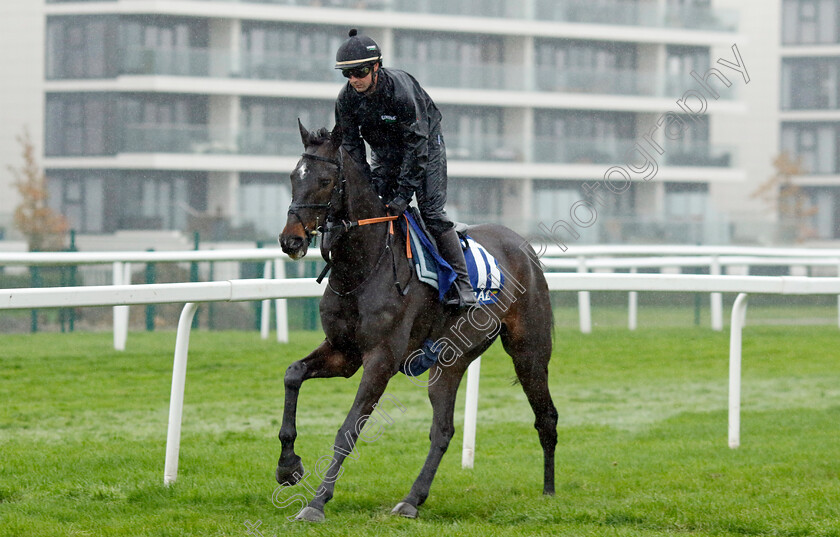 Shishkin-0001 
 SHISHKIN (Nico de Boinville) at Coral Gold Cup Weekend Gallops Morning
Newbury 15 Nov 2022 - Pic Steven Cargill / Racingfotos.com