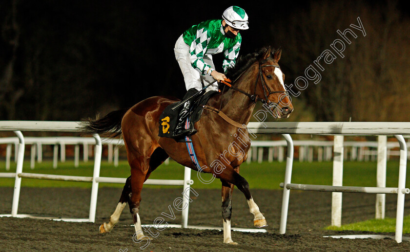 El-Salvaje-0002 
 EL SALVAJE (Callum Shepherd)
Kempton 3 Feb 2021 - Pic Steven Cargill / Racingfotos.com