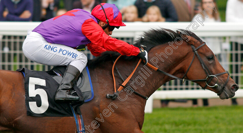 Di-Fede-0008 
 DI FEDE (Silvestre De Sousa) wins The Child Bereavement UK British EBF October Stakes
Ascot 5 Oct 2019 - Pic Steven Cargill / Racingfotos.com