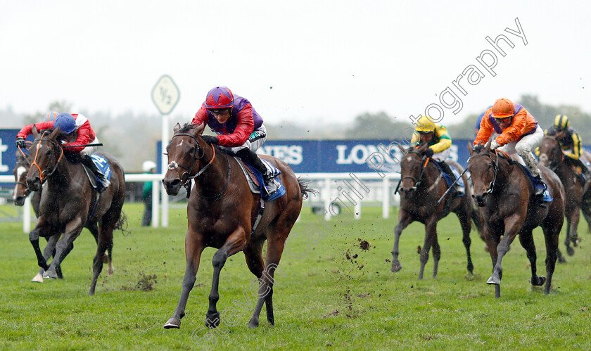 Di-Fede-0002 
 DI FEDE (Harry Bentley) wins The Neptune Investment Management British EBF October Stakes
Ascot 6 Oct 2018 - Pic Steven Cargill / Racingfotos.com