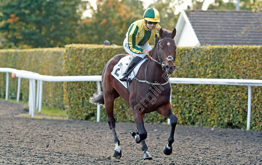 Baileys-Eminence 
 BAILEYS EMINENCE (Stefano Cherchi)
Kempton 6 Oct 2021 - Pic Steven Cargill / Racingfotos.com