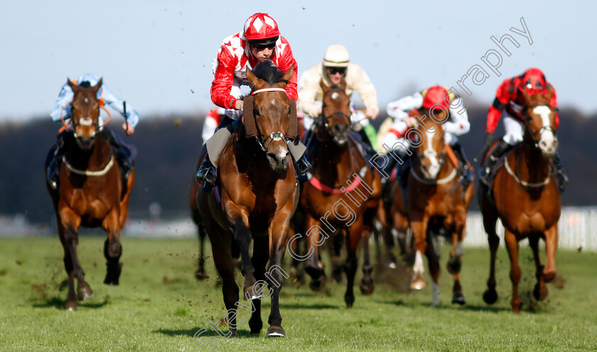 Gorak-0003 
 GORAK (Callum Shepherd) wins The Music Live @ Doncaster Racecourse Handicap
Doncaster 2 Apr 2023 - Pic Steven Cargill / Racingfotos.com