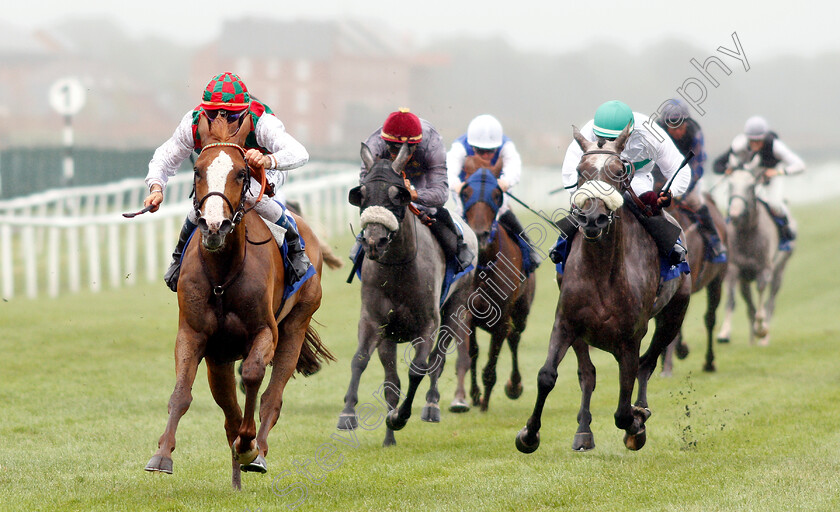 Joudh-0005 
 JOUDH (Olivier Peslier) wins The Shadwell Arabian Stallions Hatta International Stakes
Newbury 29 Jul 2018 - Pic Steven Cargill / Racingfotos.com