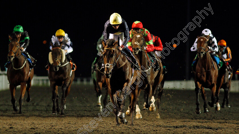 Ply-0007 
 PLY (Kieran Shoemark) wins The 100% Profit Boost At 32Redsport.com Handicap Kempton 4 Oct 2017 - Pic Steven Cargill / Racingfotos.com