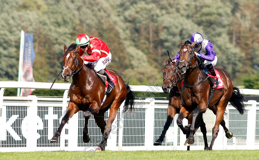 Flying-Dragon-0004 
 FLYING DRAGON (Tom Marquand) beats DAMON RUNYON (right) in The Smarkets EBF Novice Stakes
Sandown 19 Sep 2018 - Pic Steven Cargill / Racingfotos.com