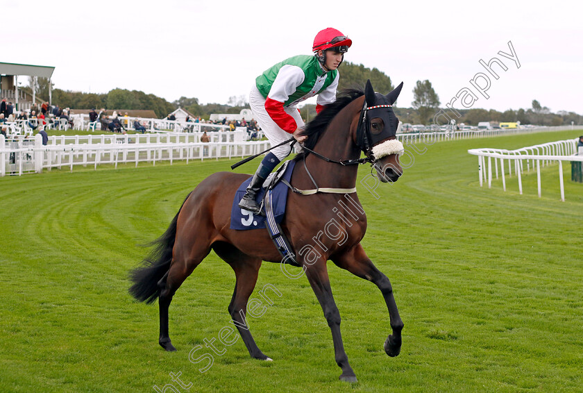 Total-Lockdown-0001 
 TOTAL LOCKDOWN (Darragh Keenan)
Yarmouth 16 Oct 2023 - Pic Steven Cargill / Racingfotos.com