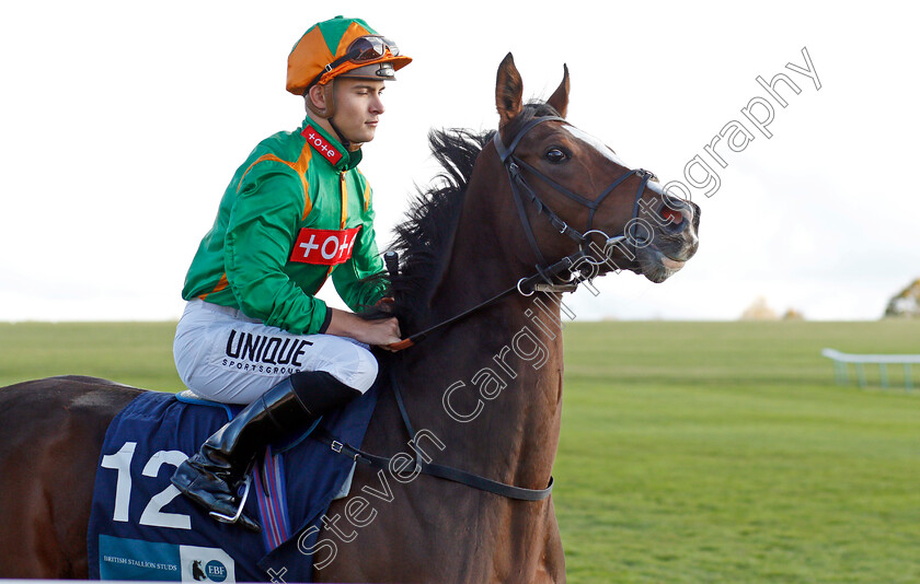 Siamsa-0002 
 SIAMSA (Thore Hammer Hansen)
Newmarket 30 Oct 2021 - Pic Steven Cargill / Racingfotos.com