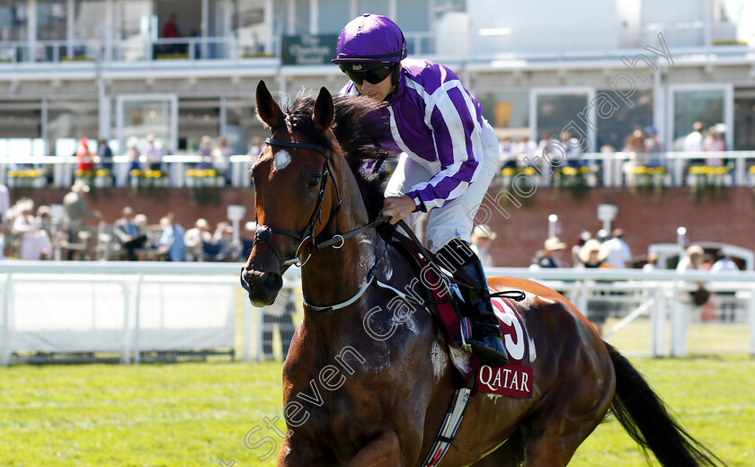 Flattering-0001 
 FLATTERING (Wayne Lordan)
Goodwood 2 Aug 2018 - Pic Steven Cargill / Racingfotos.com