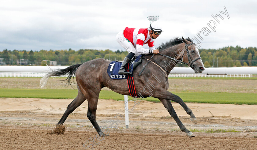 Duca-Di-Como-0003 
 DUCA DI COMO (Elione Chaves) wins The Tattersalls Nickes Minneslopning
Bro Park, Sweden 22 Sep 2019 - Pic Steven Cargill / Racingfotos.com