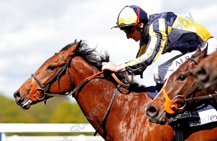 Getchagetchagetcha-0005 
 GETCHAGETCHAGETCHA (Adam Kirby) wins The Sodexo Conditions Stakes Ascot 2 May 2018 - Pic Steven Cargill / Racingfotos.com