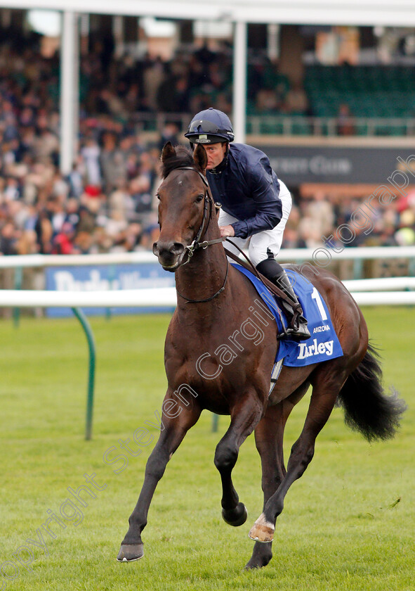 Arizona-0001 
 ARIZONA (Seamie Heffernan)
Newmarket 12 Oct 2019 - Pic Steven Cargill / Racingfotos.com