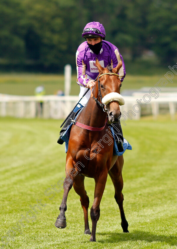 Circoloco-0001 
 CIRCOLOCO (Connor Beasley)
York 11 Jun 2021 - Pic Steven Cargill / Racingfotos.com