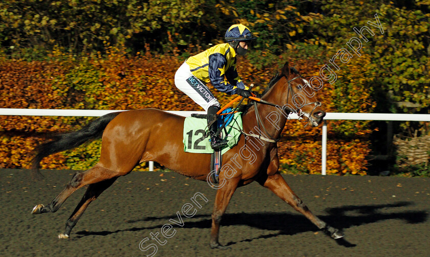 Surrey-Princess-0001 
 SURREY PRINCESS (Nicola Currie)
Kempton 11 Nov 2020 - Pic Steven Cargill / Racingfotos.com