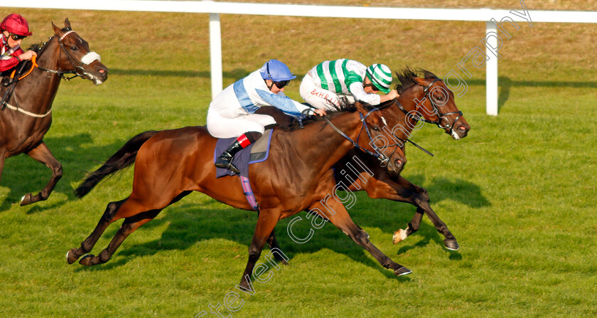 Natural-Path-0005 
 NATURAL PATH (right, Tom Marquand) beats SPIRITED GUEST (left) in The Moulton Nurseries Handicap
Yarmouth 16 Sep 2021 - Pic Steven Cargill / Racingfotos.com