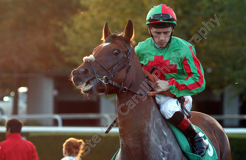 Carricklane-0001 
 CARRICKLANE (Shane Kelly)
Kempton 15 Aug 2018 - Pic Steven Cargill / Racingfotos.com