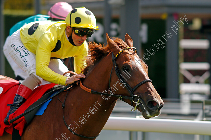 El-Drama-0008 
 EL DRAMA (Andrea Atzeni) wins The tote+ Biggest Dividends At tote.co.uk Dee Stakes
Chester 6 May 2021 - Pic Steven Cargill / Racingfotos.com