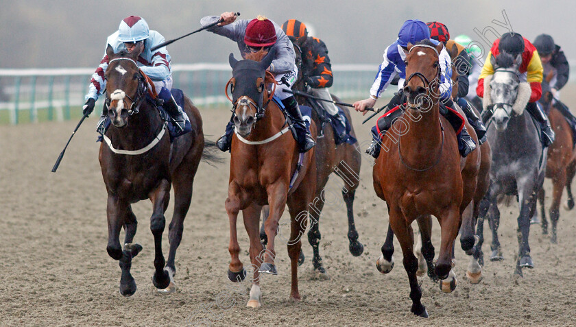 The-Warrior-0004 
 THE WARRIOR (right, Daniel Muscutt) beats AL DAIHA (centre) and TANQEEB (left) in The Bombardier March To Your Own Drum Handicap
Lingfield 4 Mar 2020 - Pic Steven Cargill / Racingfotos.com