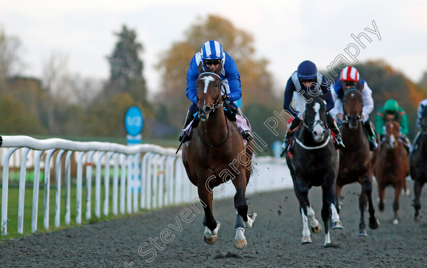 Mukaafah-0004 
 MUKAAFAH (Jim Crowley) wins The Unibet More Extra Places Races Novice Stakes
Kempton 15 Nov 2023 - Pic Steven Cargill / Racingfotos.com