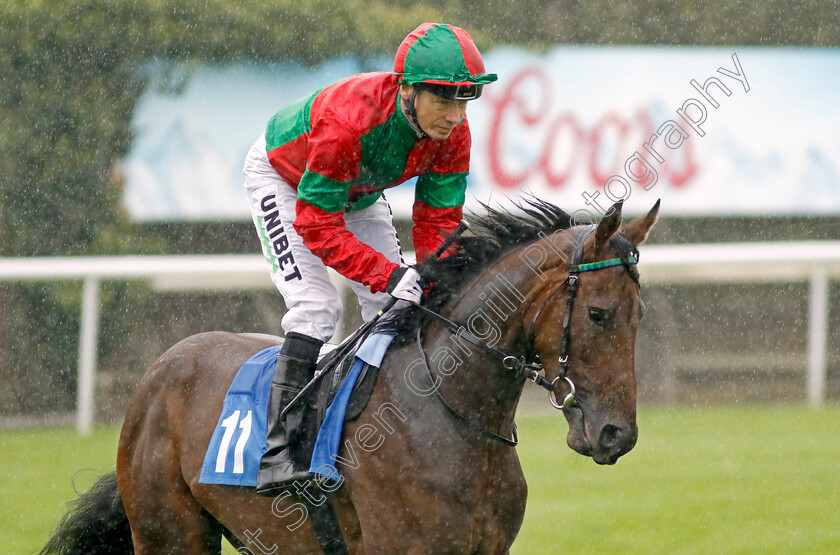 Starlit-Spice-0001 
 STARLIT SPICE (Jamie Spencer)
Leicester 10 Sep 2024 - Pic Steven Cargill / Racingfotos.com