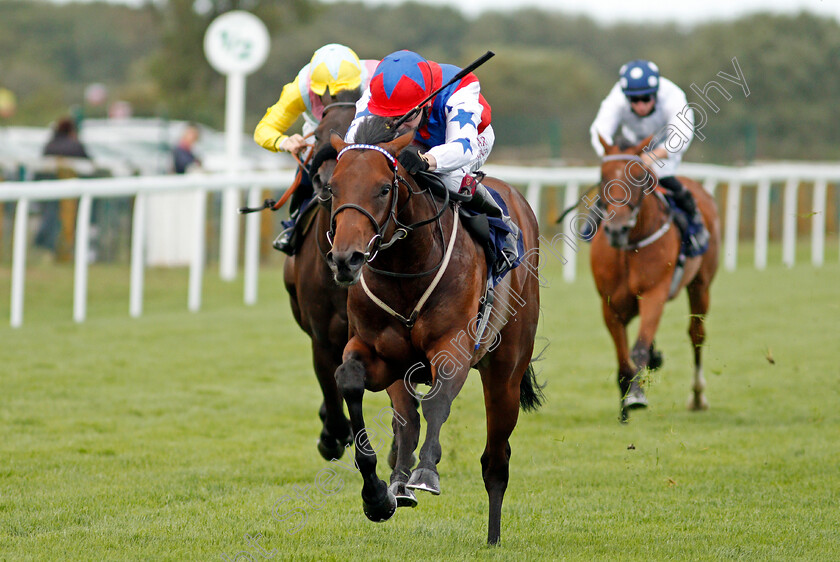 Coco-Bear-0004 
 COCO BEAR (Oisin Murphy) wins The Sky Sports Racing HD Virgin 535 Nursery
Yarmouth 25 Aug 2020 - Pic Steven Cargill / Racingfotos.com