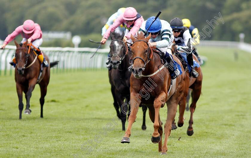 Belated-Breath-0003 
 BELATED BREATH (Oisin Murphy) wins The Bill Garnett Memorial Fillies Handicap
Salisbury 16 Aug 2018 - Pic Steven Cargill / Racingfotos.com