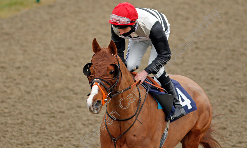 Caribeno-0003 
 CARIBENO (Luke Morris) winner of The Betway Handicap
Lingfield 10 Mar 2021 - Pic Steven Cargill / Racingfotos.com