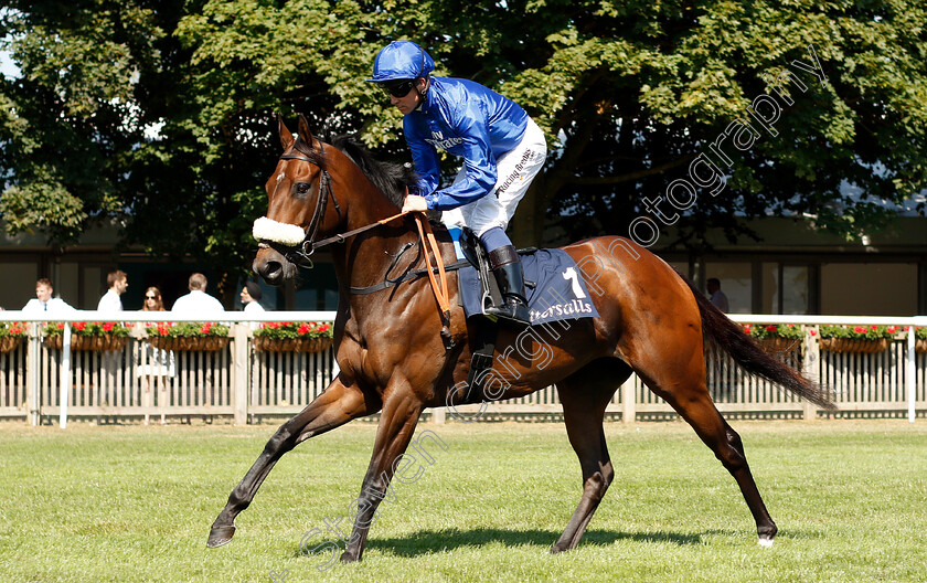 Arabian-Hope-0001 
 ARABIAN HOPE (Jim Crowley)
Newmarket 13 Jul 2018 - Pic Steven Cargill / Racingfotos.com