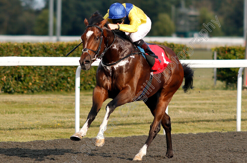 Dubai-Warrior-0006 
 DUBAI WARRIOR (Robert Havlin) wins The Matchbook Betting Exchange Novice Stakes
Kempton 7 Aug 2019 - Pic Steven Cargill / Racingfotos.com